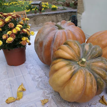 Maison d'hôtes Maison Bersane